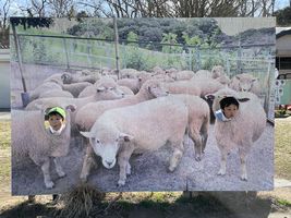 img_5676
