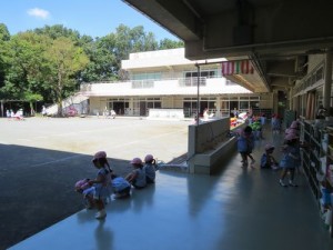IMG_6252