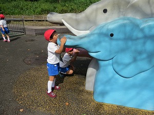 s-img_7017