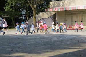 img_8566