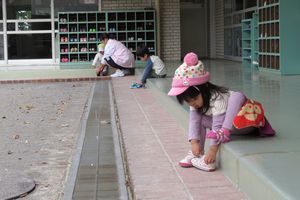 img_8661