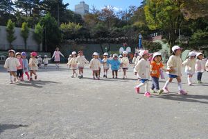 img_8752