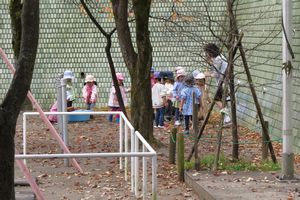 img_8991