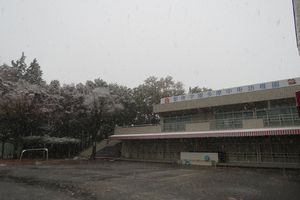 img_9233