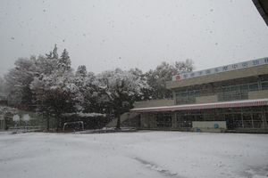 img_9236