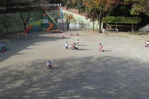 img_9448