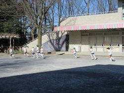 img_0201