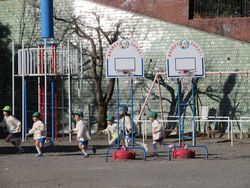 img_0202