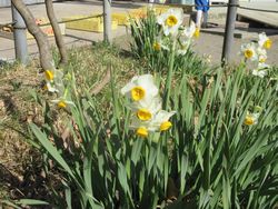 img_0371