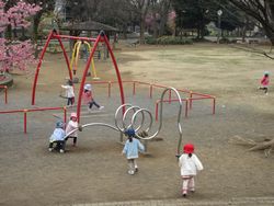img_0716