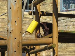 img_2247