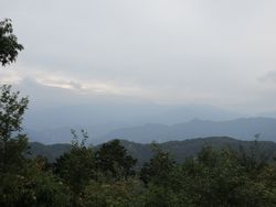 img_2322
