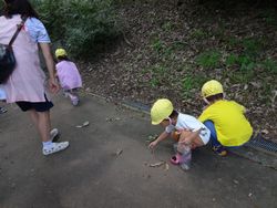 dsc03714