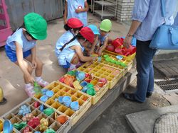 dscn0377