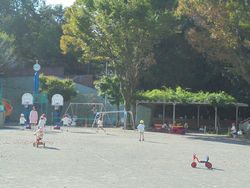 dsc03286