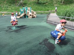 dscf3229