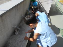 dscn0463