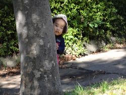 dsc03954
