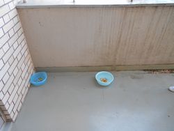dscn0734