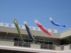 img_5596