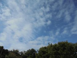 dsc03996