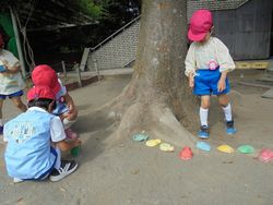 dsc04011