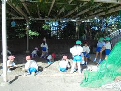 dsc04178