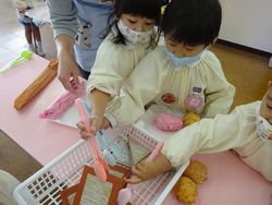 dsc00529