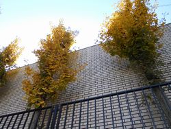 dscn4831