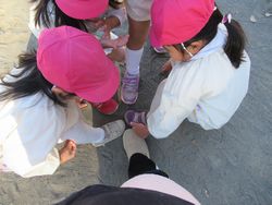 img_2206