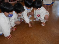 dscn4964
