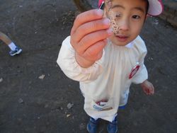 dscn4976