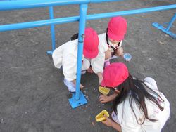 dscn4981