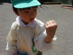 dsc01778
