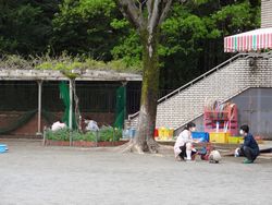 dsc08794