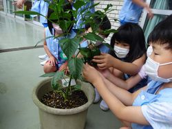 dsc04985