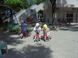 dsc02564