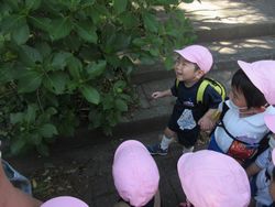img_1234