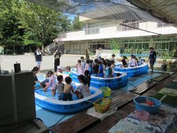 img_2129