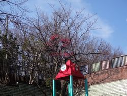 dsc03573
