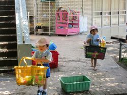 img_3803