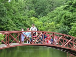 img_7540