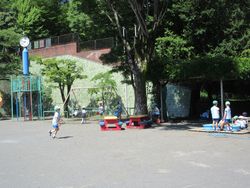 img_4012