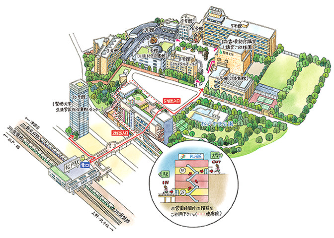松戸駅からキャンパスへの行き方