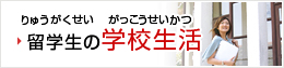 留学生の学校生活