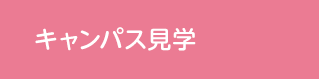 LpXw
