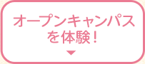 �I�[�v���L�����p�X��̌��I